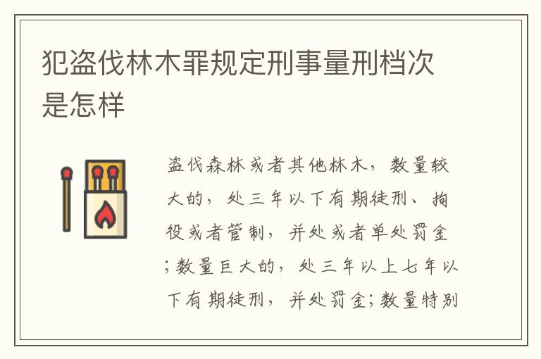 犯盗伐林木罪规定刑事量刑档次是怎样