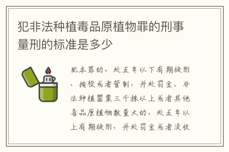 犯非法种植毒品原植物罪的刑事量刑的标准是多少
