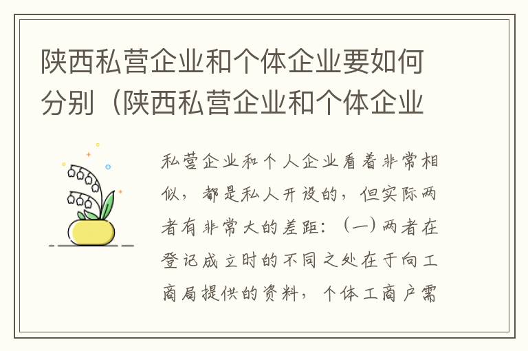 陕西私营企业和个体企业要如何分别（陕西私营企业和个体企业要如何分别交税）