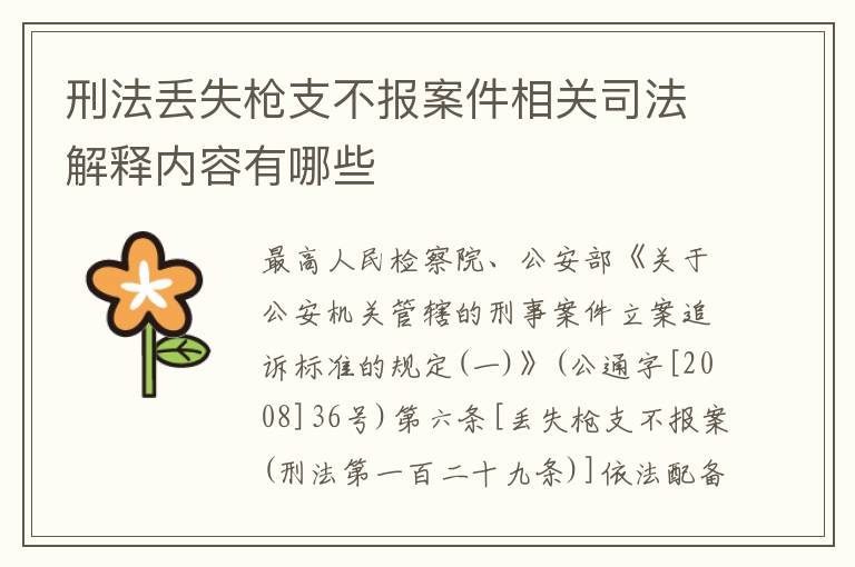 刑法丢失枪支不报案件相关司法解释内容有哪些