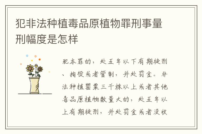 犯非法种植毒品原植物罪刑事量刑幅度是怎样