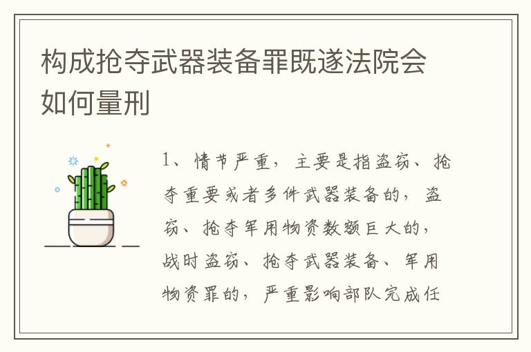 构成抢夺武器装备罪既遂法院会如何量刑