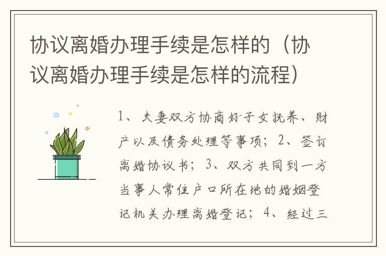 协议离婚办理手续是怎样的（协议离婚办理手续是怎样的流程）