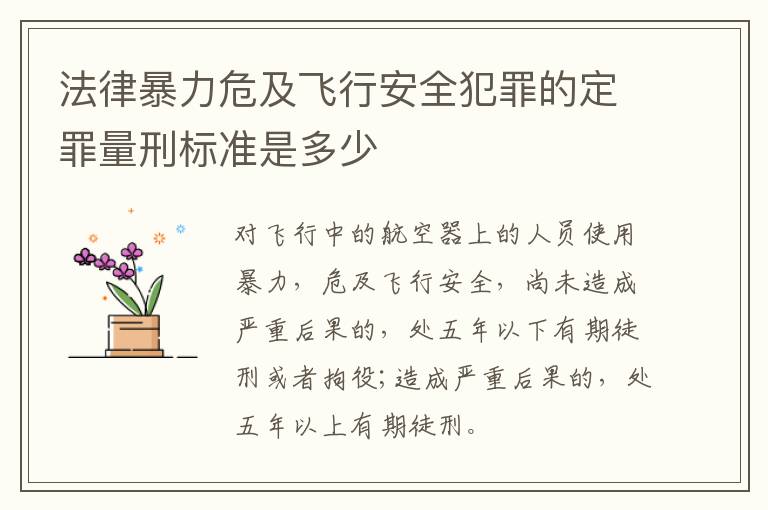法律暴力危及飞行安全犯罪的定罪量刑标准是多少