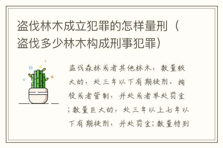 盗伐林木成立犯罪的怎样量刑（盗伐多少林木构成刑事犯罪）