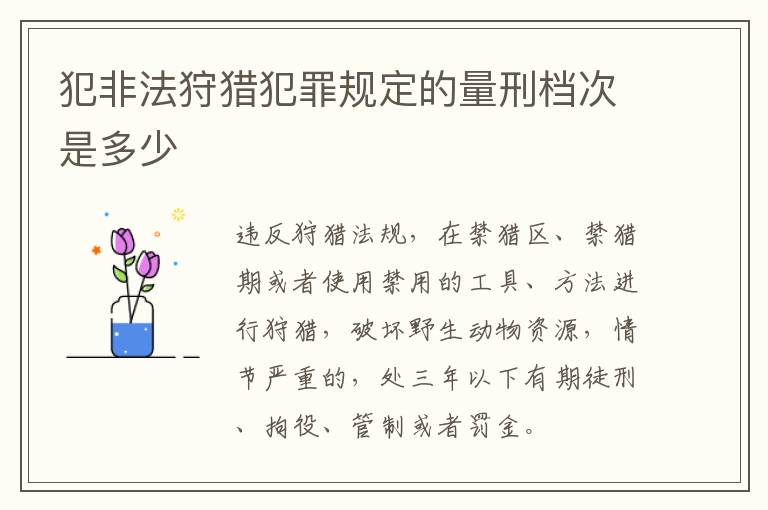 犯非法狩猎犯罪规定的量刑档次是多少