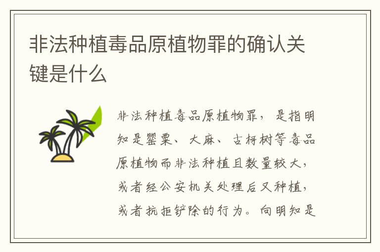非法种植毒品原植物罪的确认关键是什么