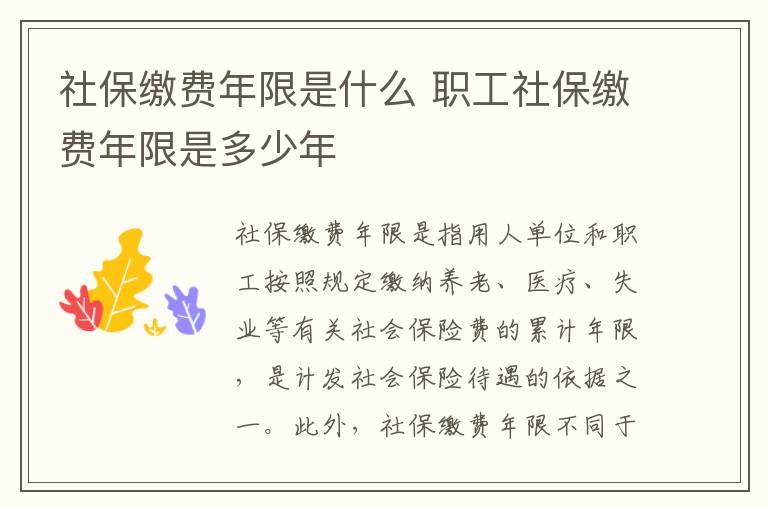 社保缴费年限是什么 职工社保缴费年限是多少年
