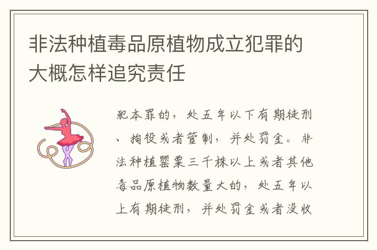 非法种植毒品原植物成立犯罪的大概怎样追究责任