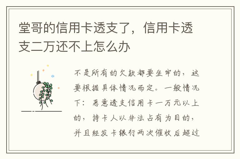 堂哥的信用卡透支了，信用卡透支二万还不上怎么办