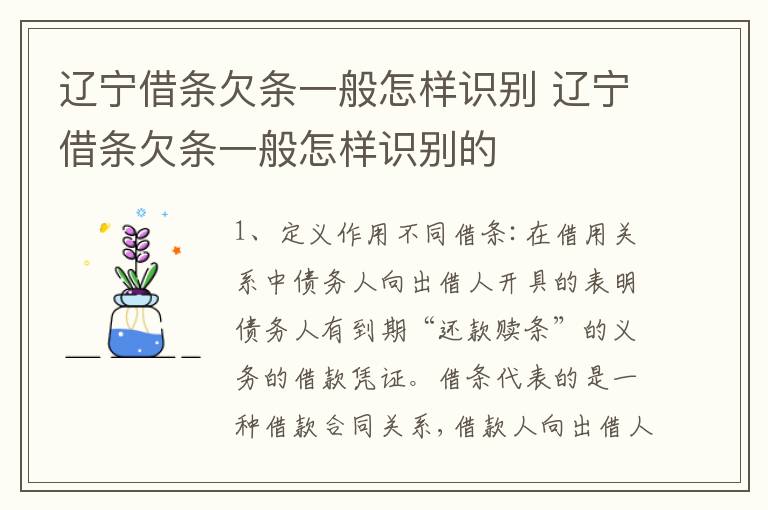 辽宁借条欠条一般怎样识别 辽宁借条欠条一般怎样识别的