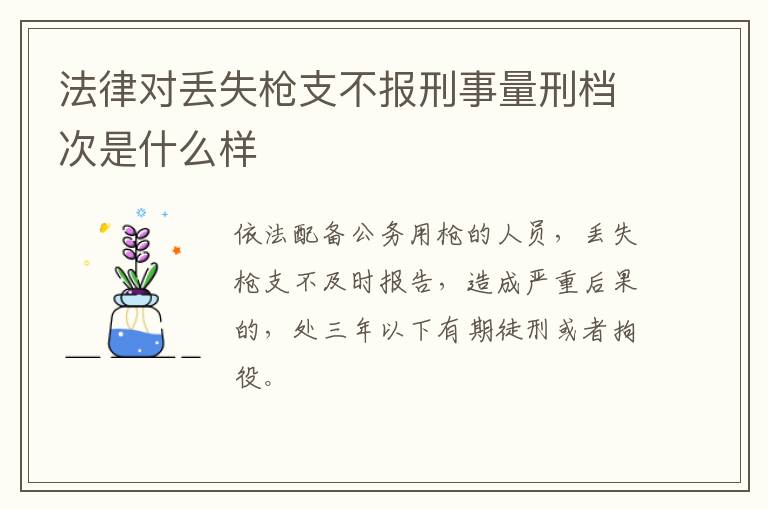 法律对丢失枪支不报刑事量刑档次是什么样