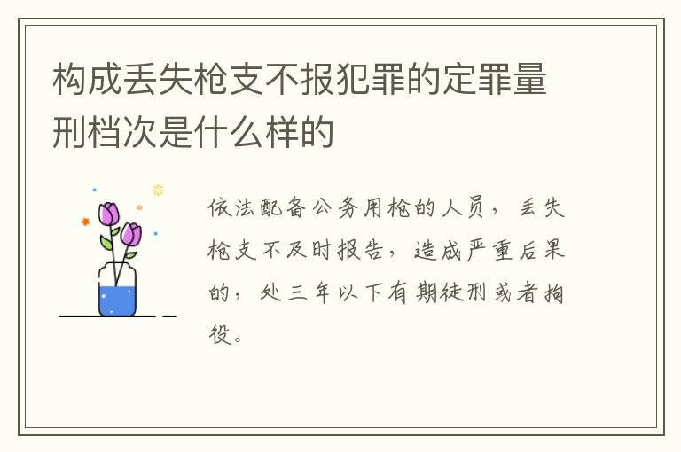 构成丢失枪支不报犯罪的定罪量刑档次是什么样的