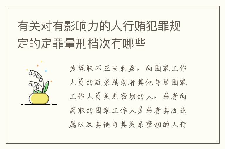 有关对有影响力的人行贿犯罪规定的定罪量刑档次有哪些