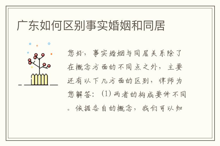 广东如何区别事实婚姻和同居