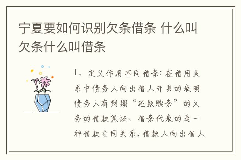 宁夏要如何识别欠条借条 什么叫欠条什么叫借条