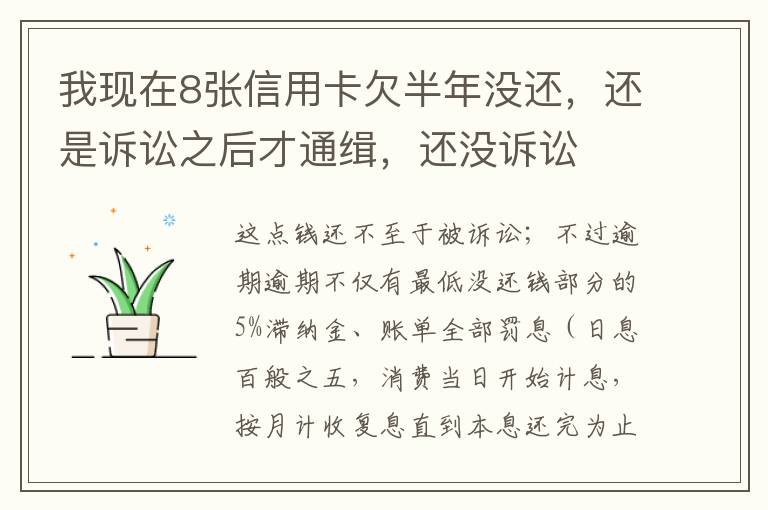 我现在8张信用卡欠半年没还，还是诉讼之后才通缉，还没诉讼
