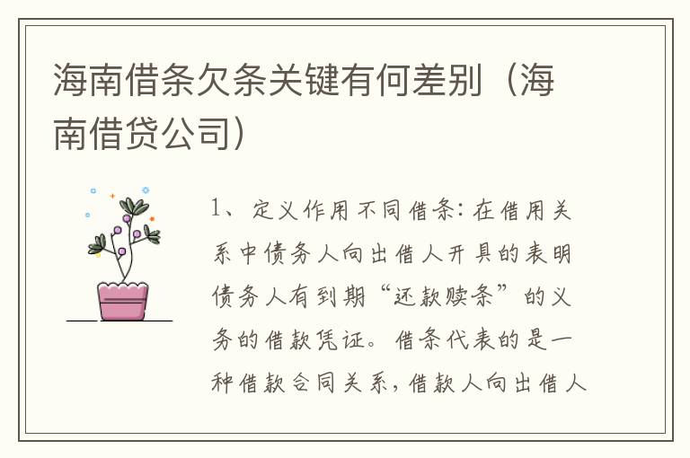 海南借条欠条关键有何差别（海南借贷公司）