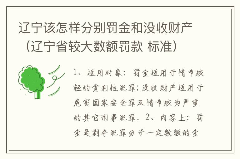 辽宁该怎样分别罚金和没收财产（辽宁省较大数额罚款 标准）