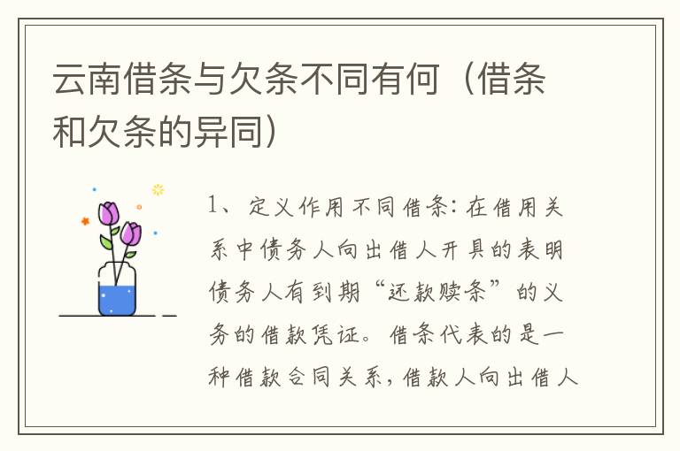 云南借条与欠条不同有何（借条和欠条的异同）