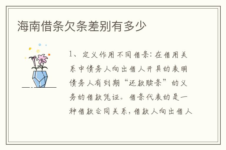 海南借条欠条差别有多少