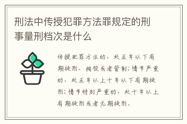 刑法中传授犯罪方法罪规定的刑事量刑档次是什么