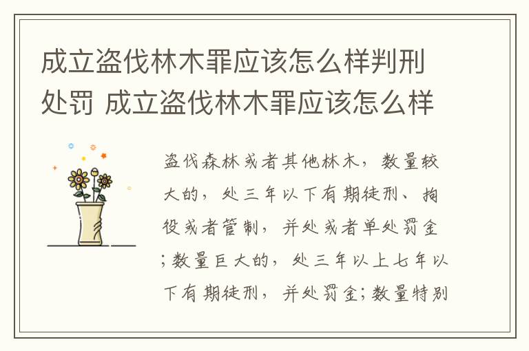 成立盗伐林木罪应该怎么样判刑处罚 成立盗伐林木罪应该怎么样判刑处罚