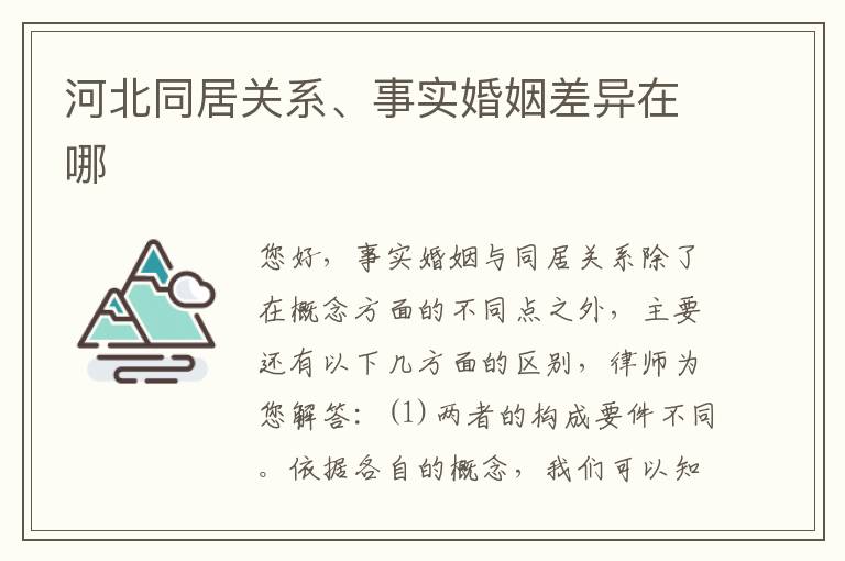 河北同居关系、事实婚姻差异在哪