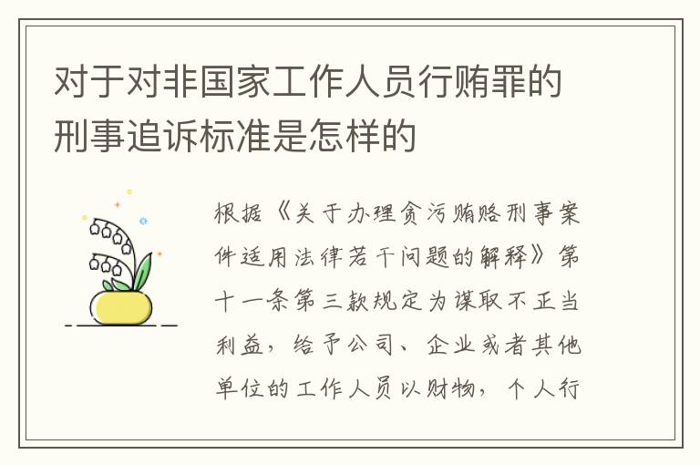 对于对非国家工作人员行贿罪的刑事追诉标准是怎样的
