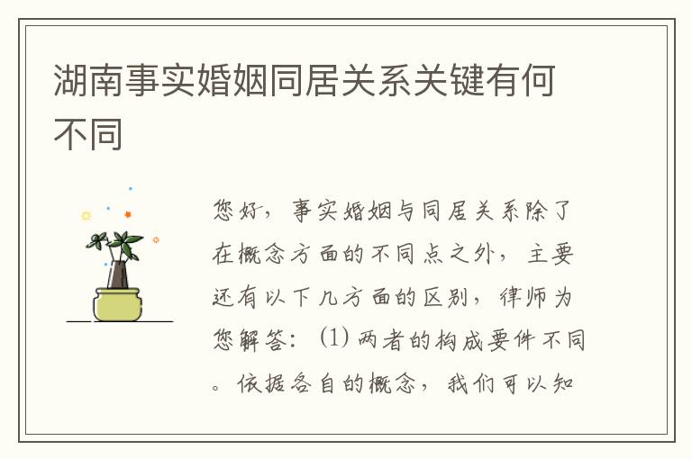 湖南事实婚姻同居关系关键有何不同