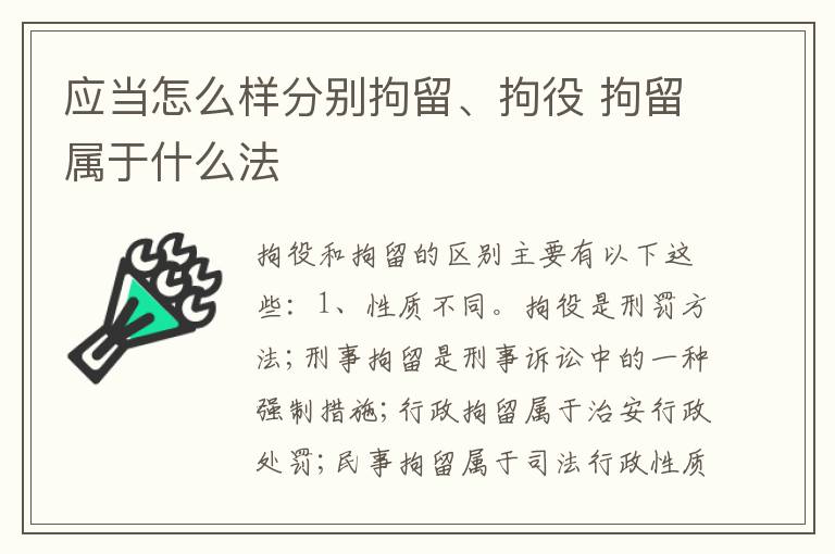 应当怎么样分别拘留、拘役 拘留属于什么法