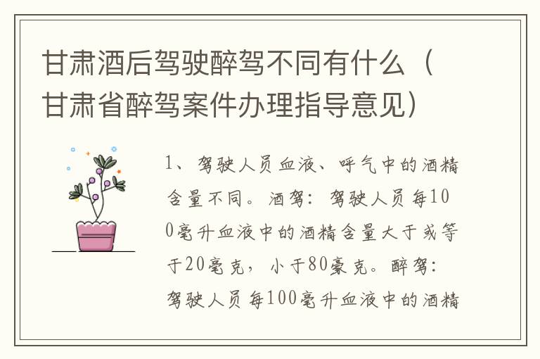 甘肃酒后驾驶醉驾不同有什么（甘肃省醉驾案件办理指导意见）