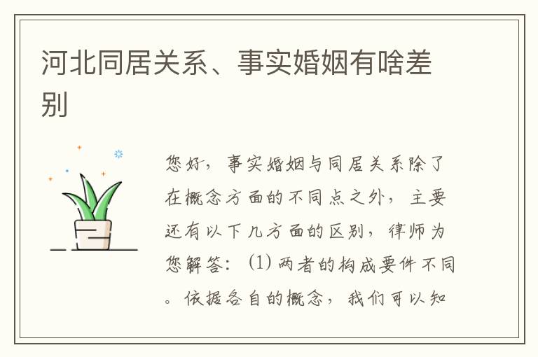 河北同居关系、事实婚姻有啥差别