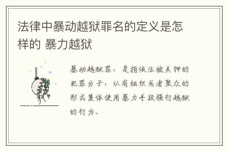 法律中暴动越狱罪名的定义是怎样的 暴力越狱