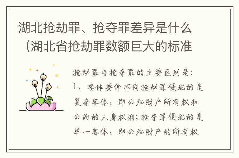 湖北抢劫罪、抢夺罪差异是什么（湖北省抢劫罪数额巨大的标准）