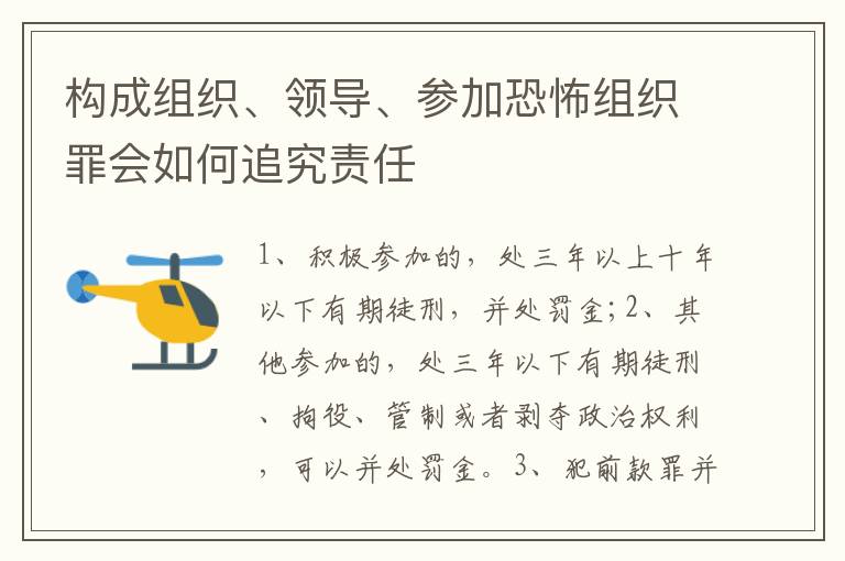构成组织、领导、参加恐怖组织罪会如何追究责任
