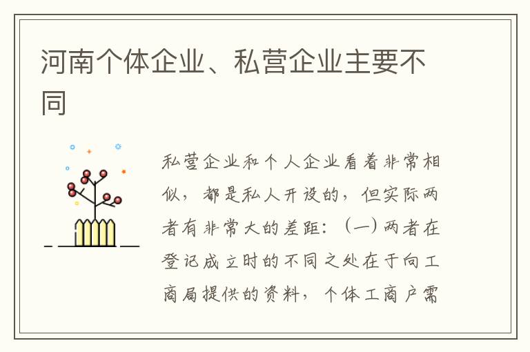 河南个体企业、私营企业主要不同