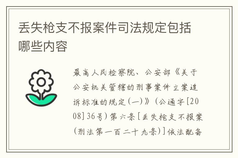 丢失枪支不报案件司法规定包括哪些内容