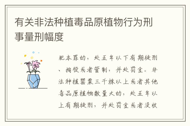 有关非法种植毒品原植物行为刑事量刑幅度