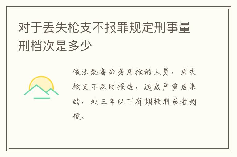 对于丢失枪支不报罪规定刑事量刑档次是多少