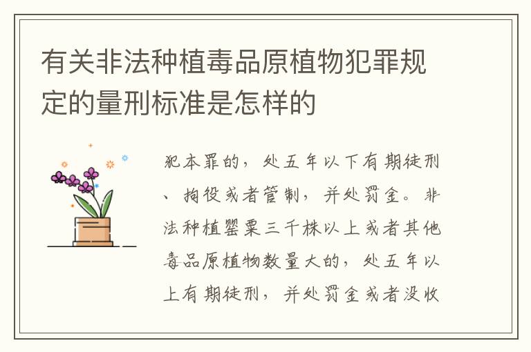 有关非法种植毒品原植物犯罪规定的量刑标准是怎样的
