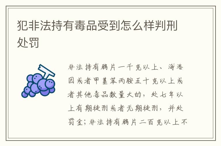 犯非法持有毒品受到怎么样判刑处罚