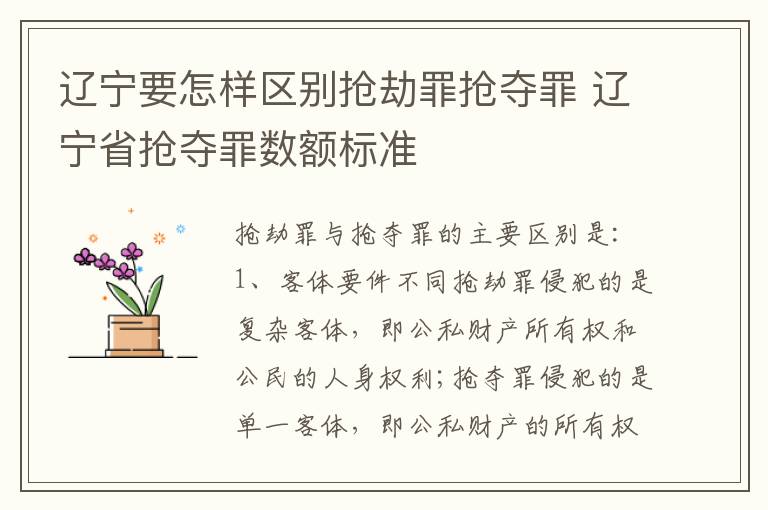 辽宁要怎样区别抢劫罪抢夺罪 辽宁省抢夺罪数额标准