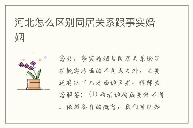 河北怎么区别同居关系跟事实婚姻