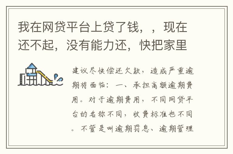 我在网贷平台上贷了钱,,现在还不起,没有能力还,快把家里人气死了,这可怎么办