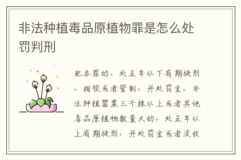 非法种植毒品原植物罪是怎么处罚判刑