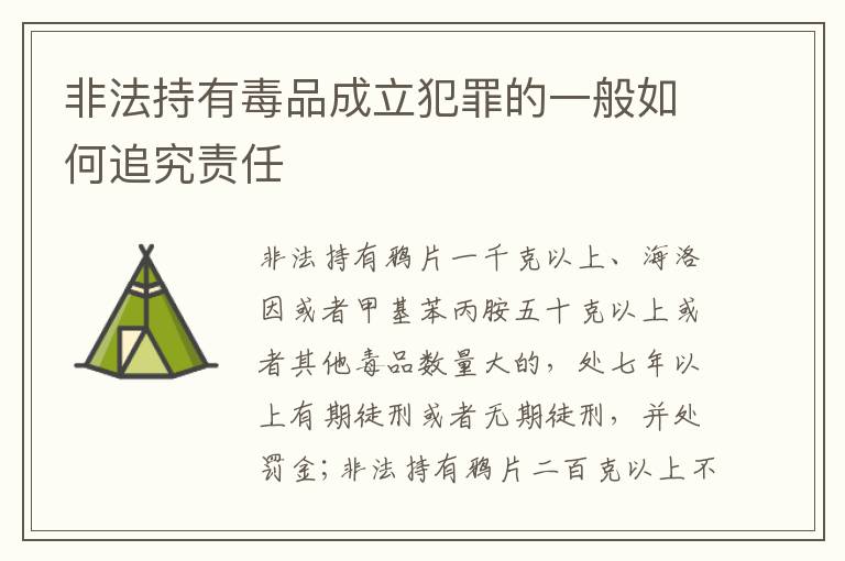 非法持有毒品成立犯罪的一般如何追究责任