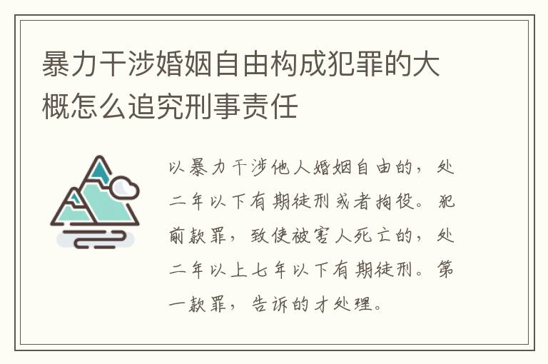 暴力干涉婚姻自由构成犯罪的大概怎么追究刑事责任