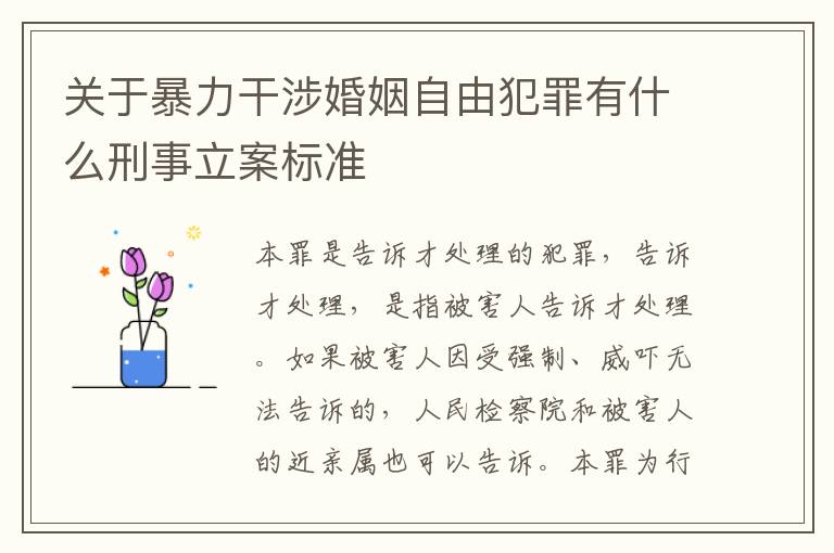 关于暴力干涉婚姻自由犯罪有什么刑事立案标准