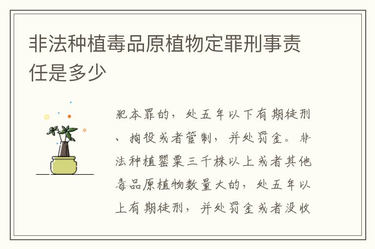非法种植毒品原植物定罪刑事责任是多少